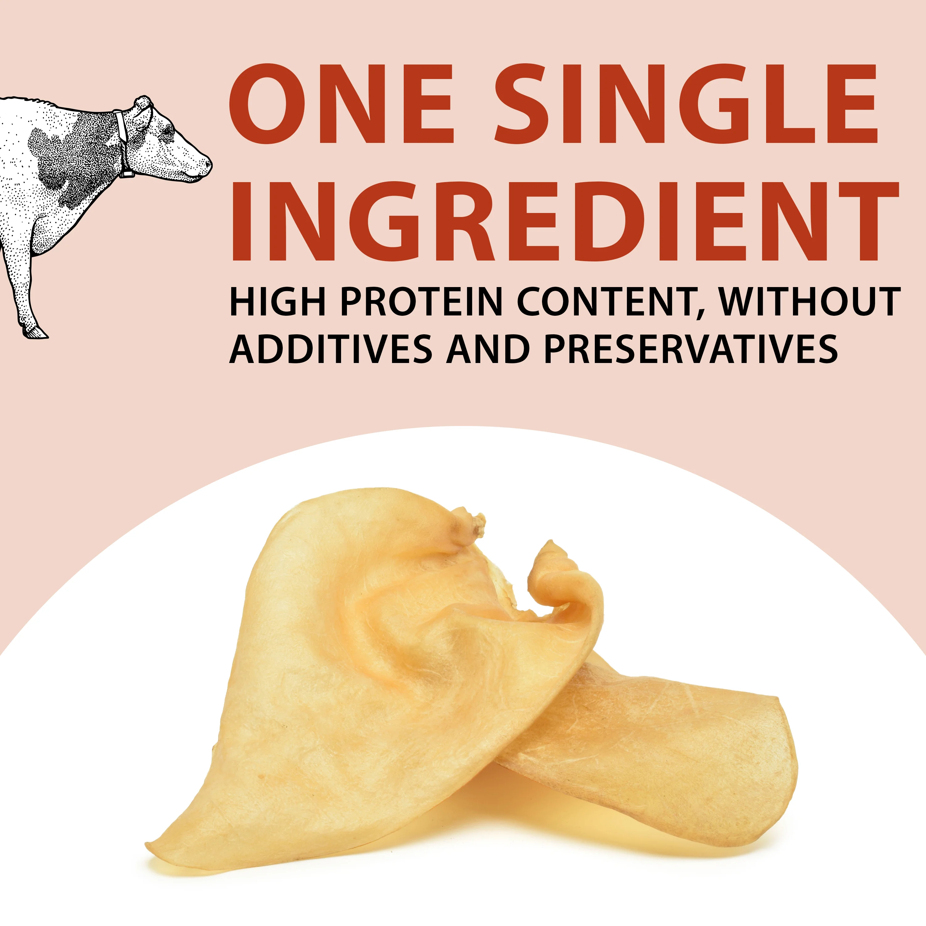 ORECCHIE DI MANZO - Image 3