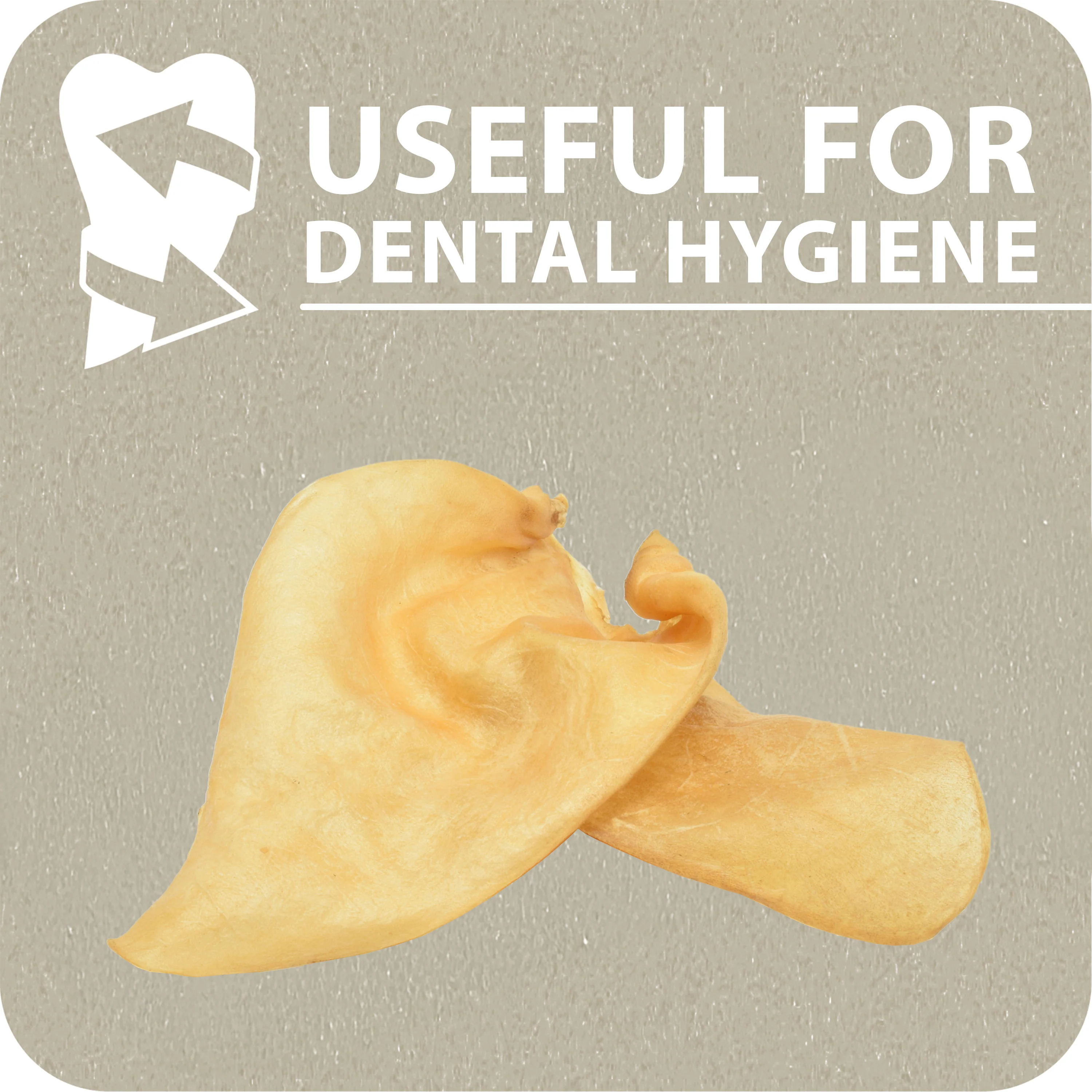 ORECCHIE DI MANZO - Image 5