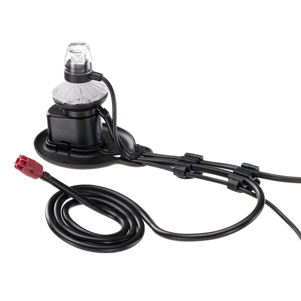 BUBBLE SHOW - Image 4