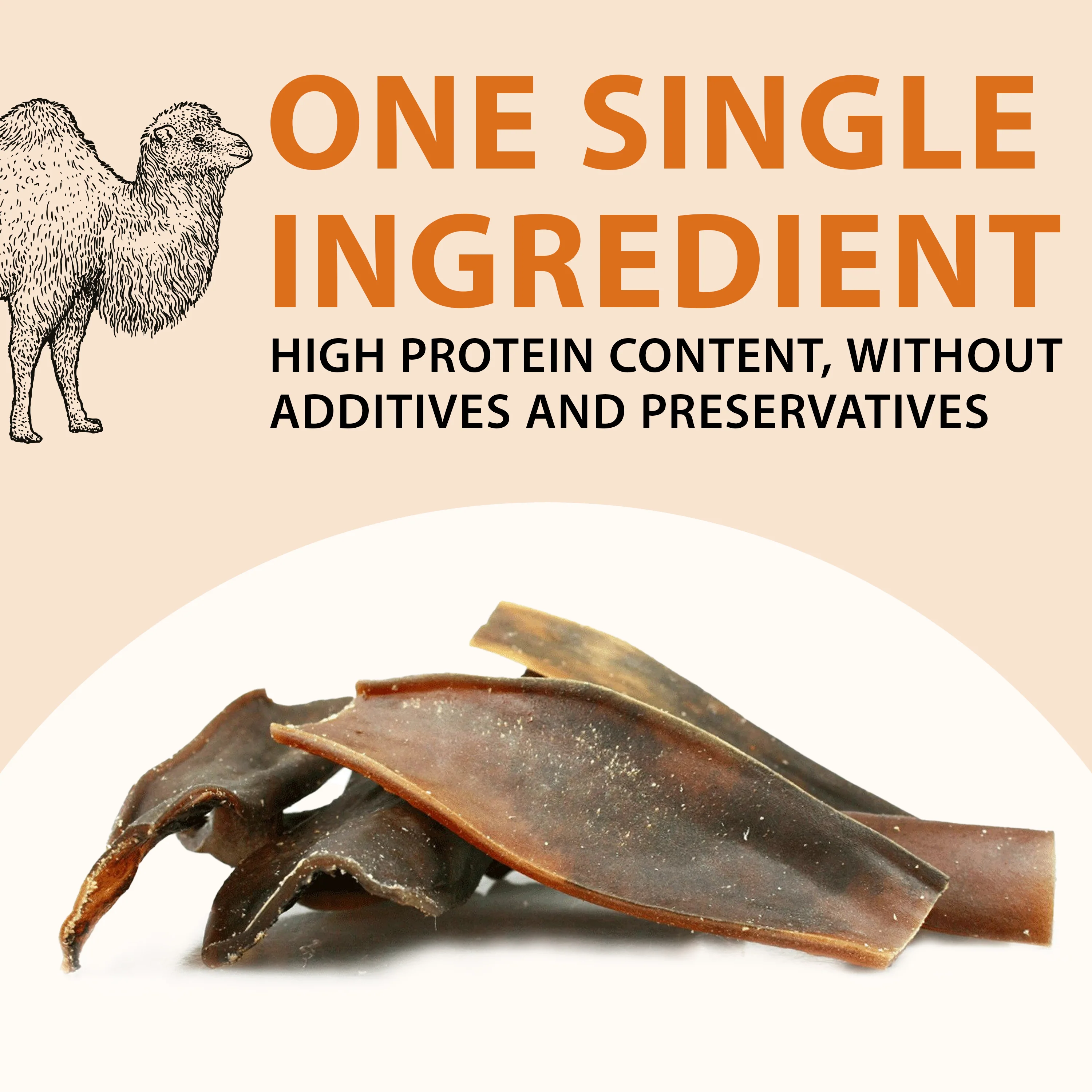 PELLE DI CAMMELLO - Image 3