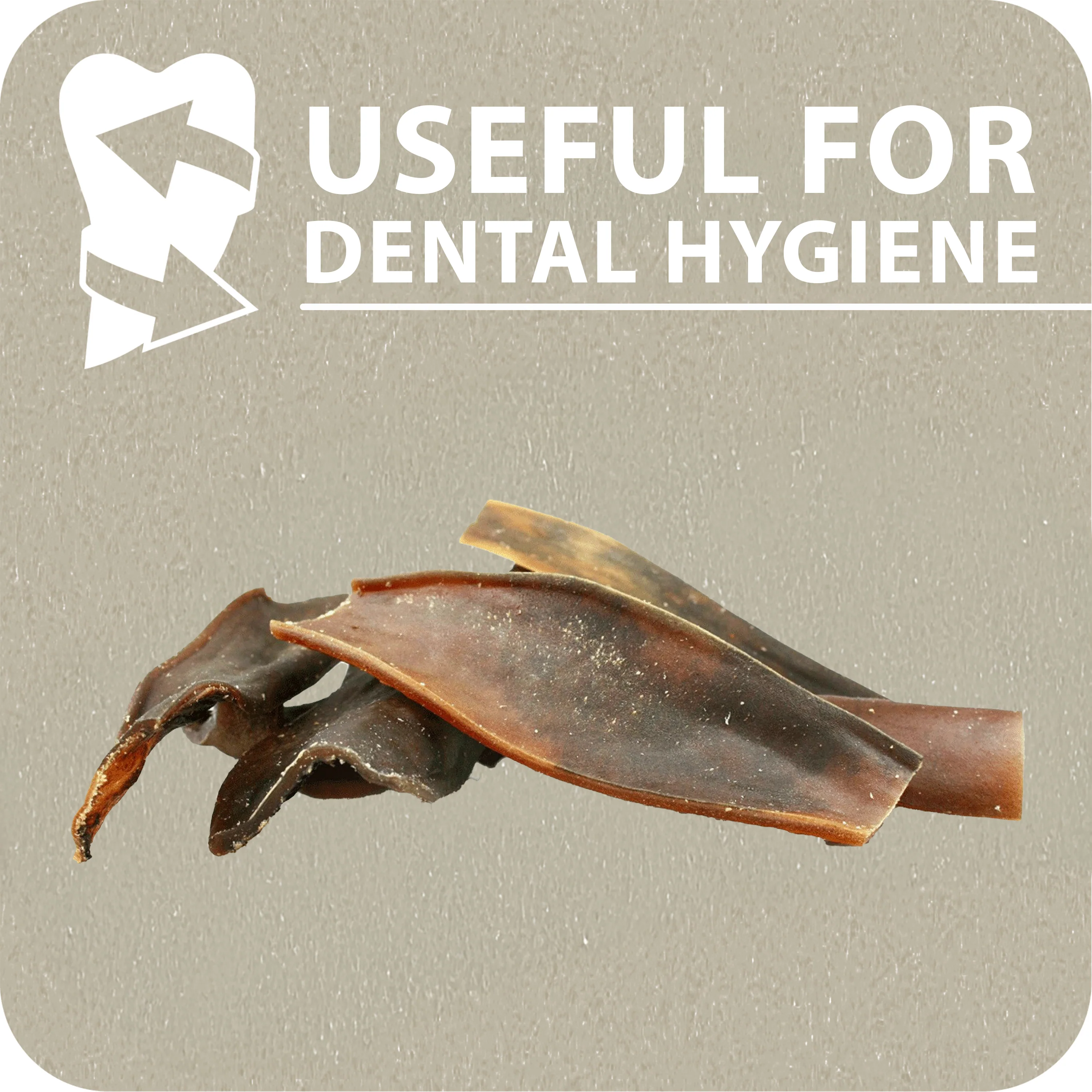 PELLE DI CAMMELLO - Image 5