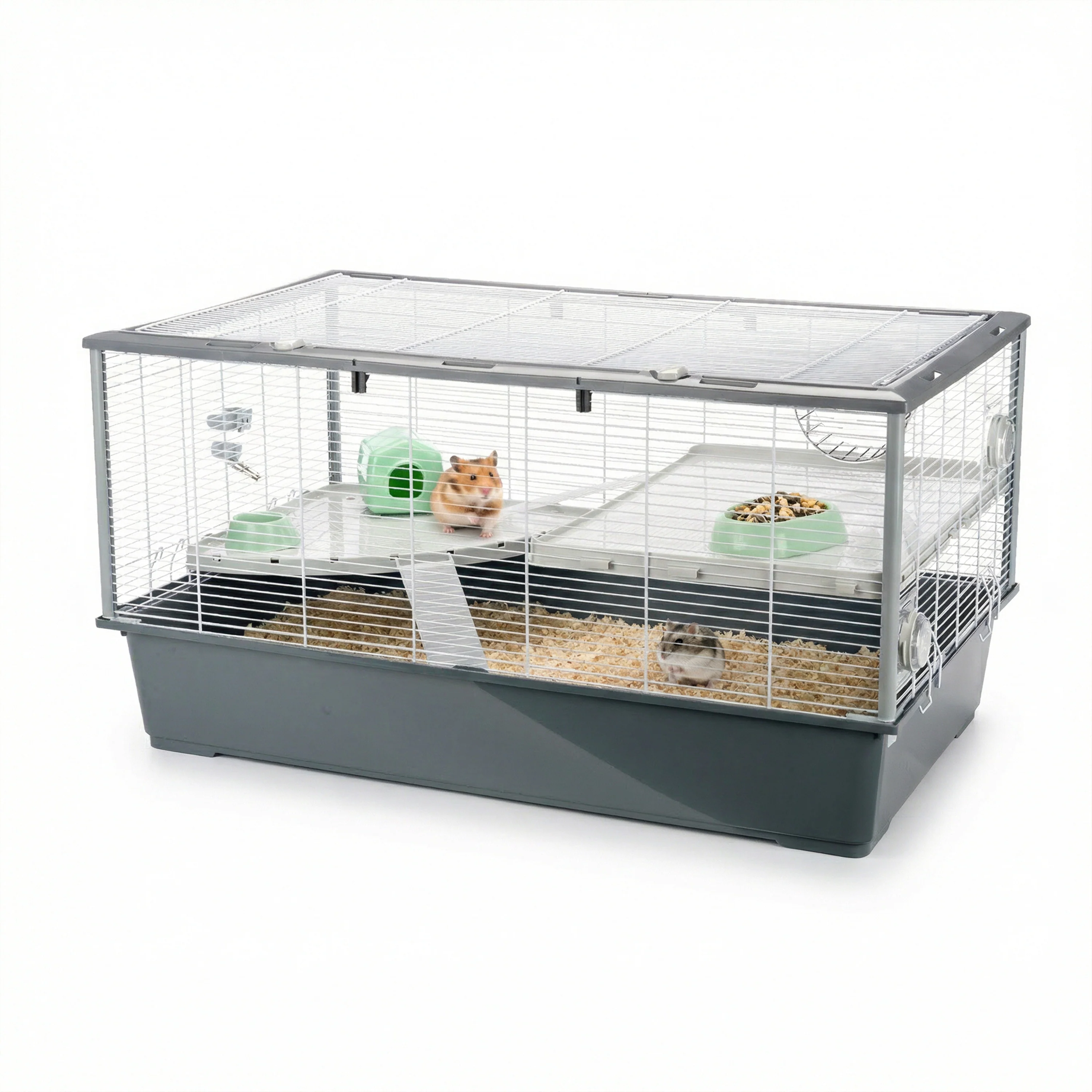 CRICETI 100 - Image 4