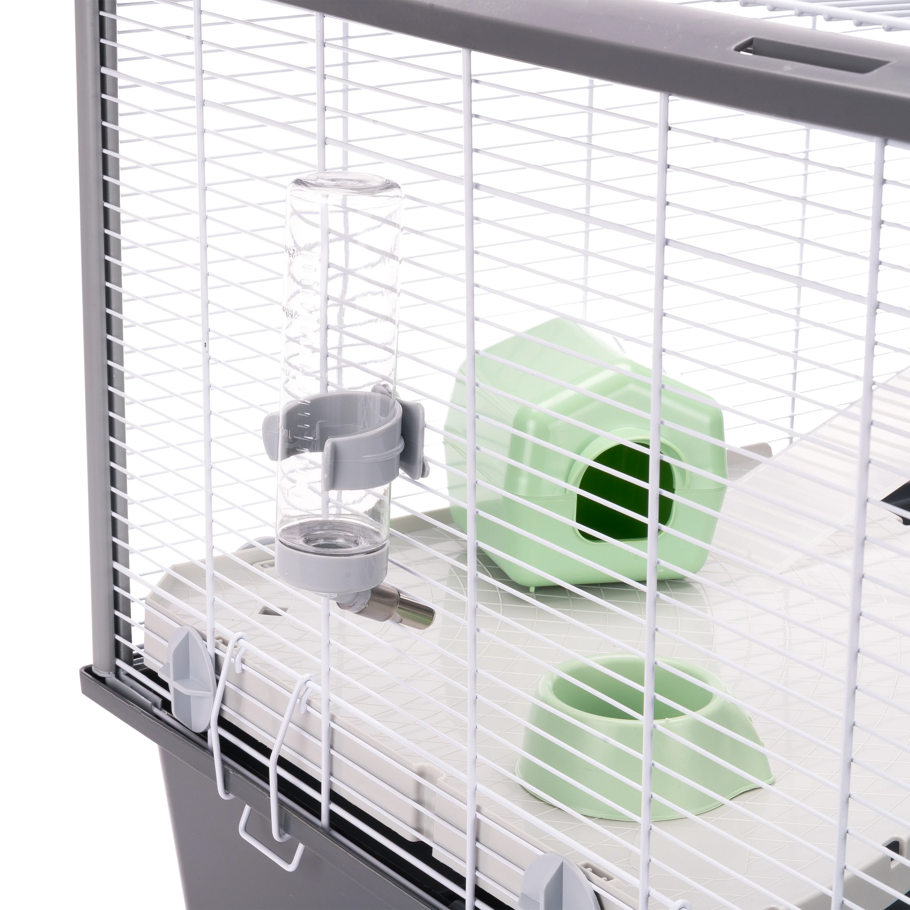 CRICETI 100 - Image 8