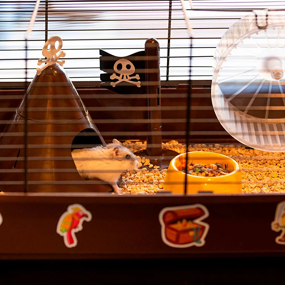 CRICETI 9 PIRATES - Image 4