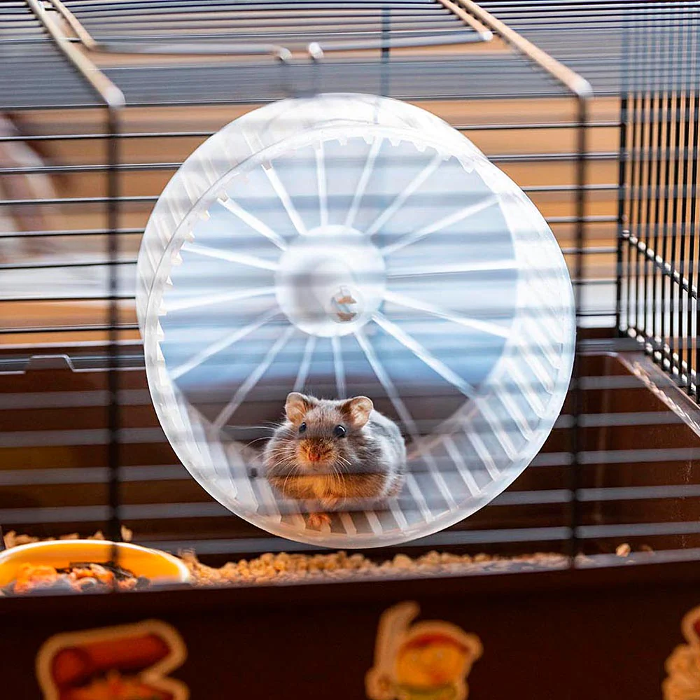 CRICETI 9 PIRATES - Image 5