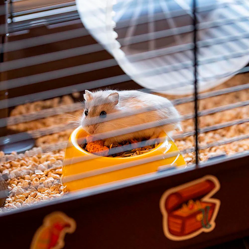 CRICETI 9 PIRATES - Image 6