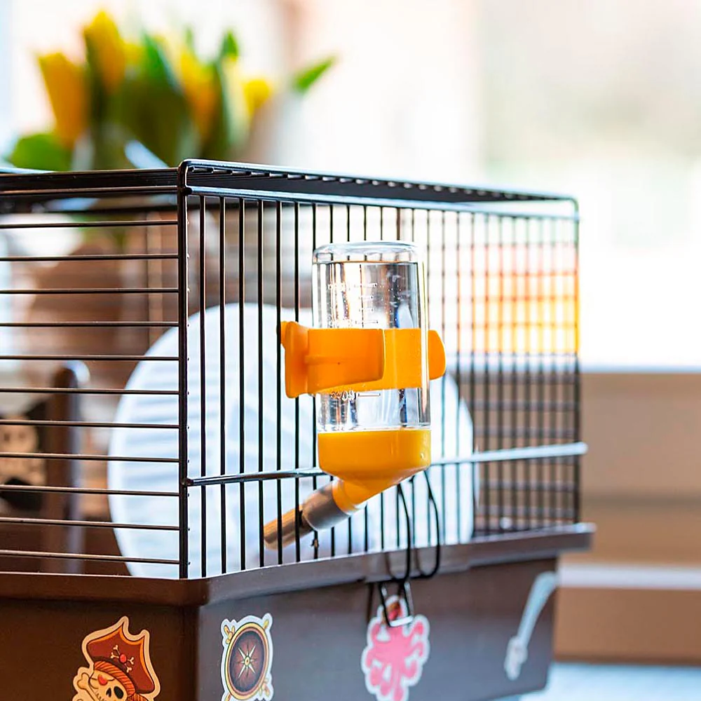 CRICETI 9 PIRATES - Image 8