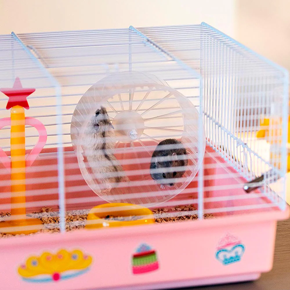 CRICETI 9 PRINCESS - Image 4