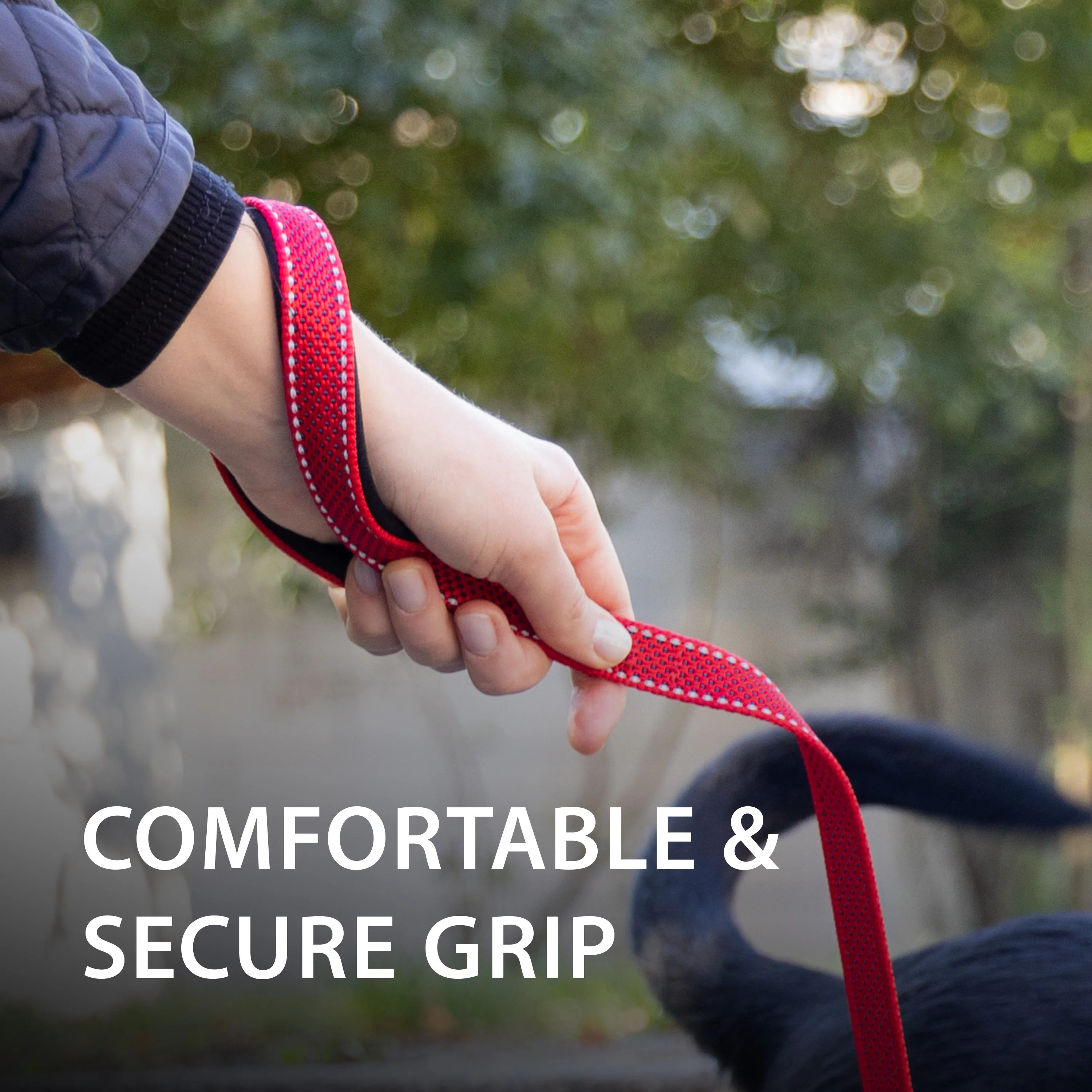 DAYTONA DELUXE G - Image 12