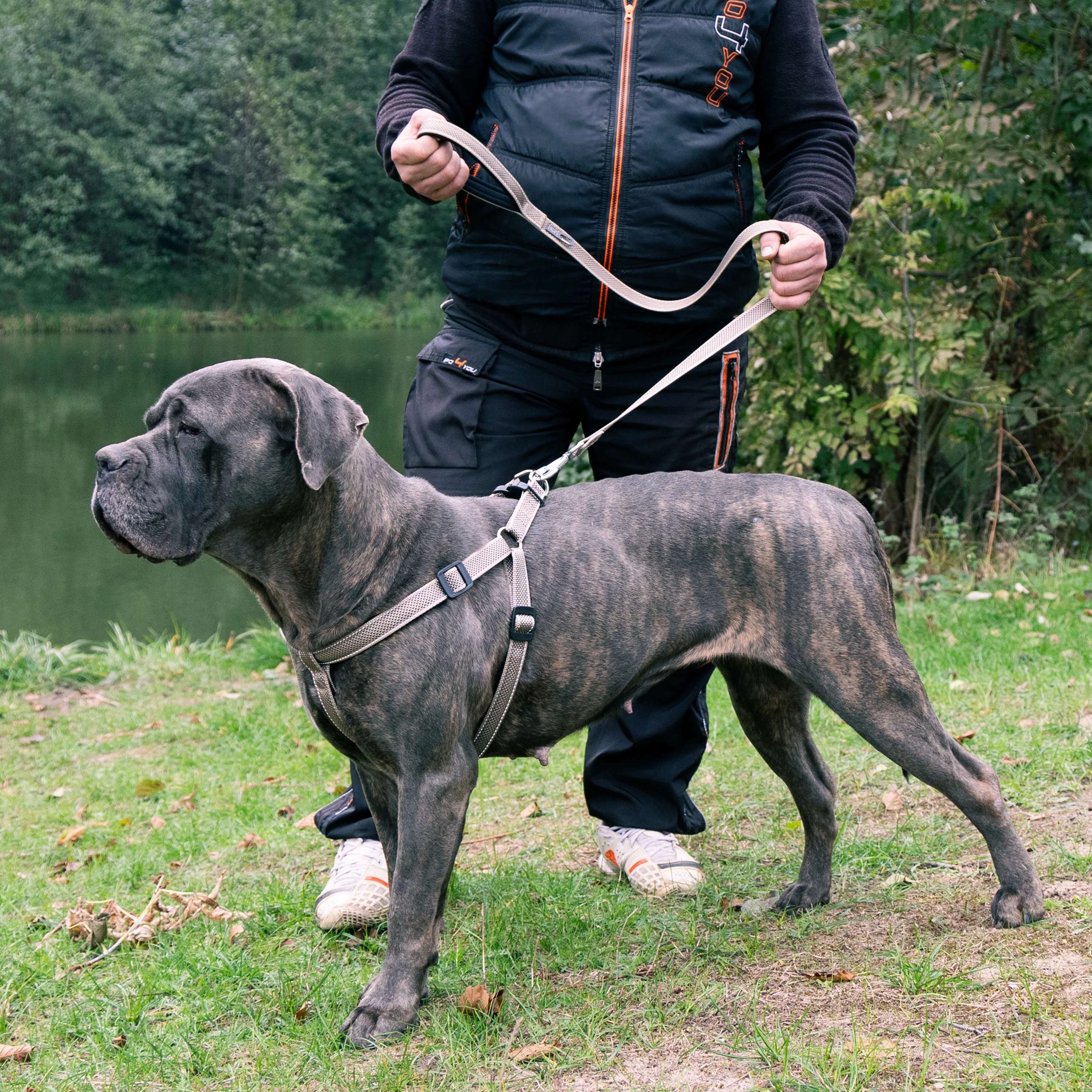 DAYTONA DELUXE G - Image 18