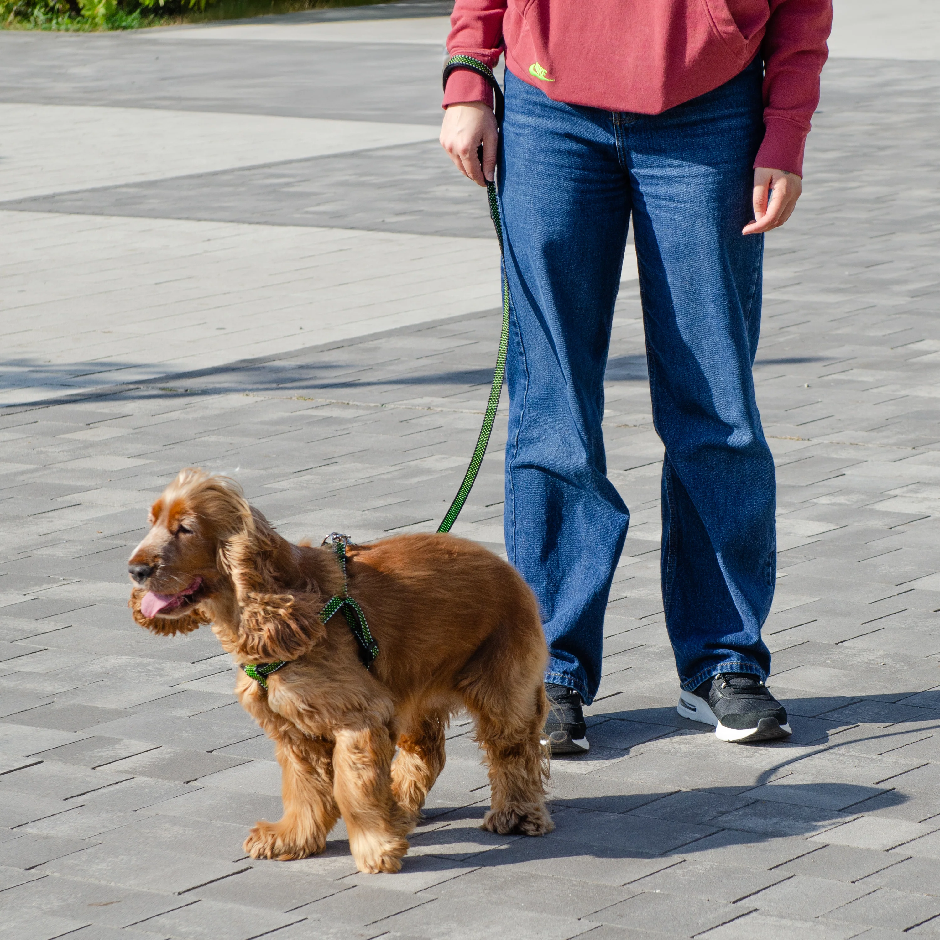 DAYTONA DELUXE G - Image 3