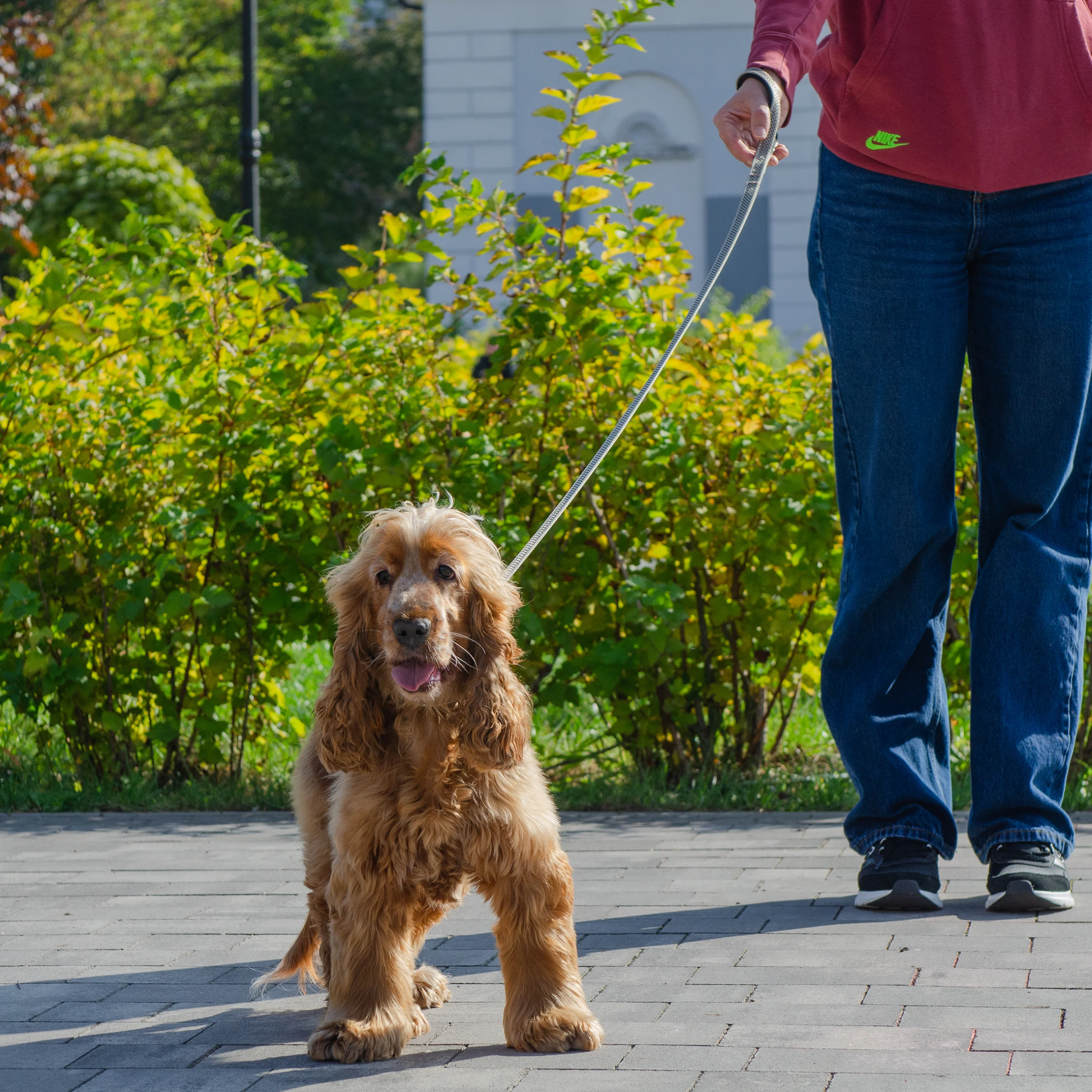 DAYTONA DELUXE G - Image 8