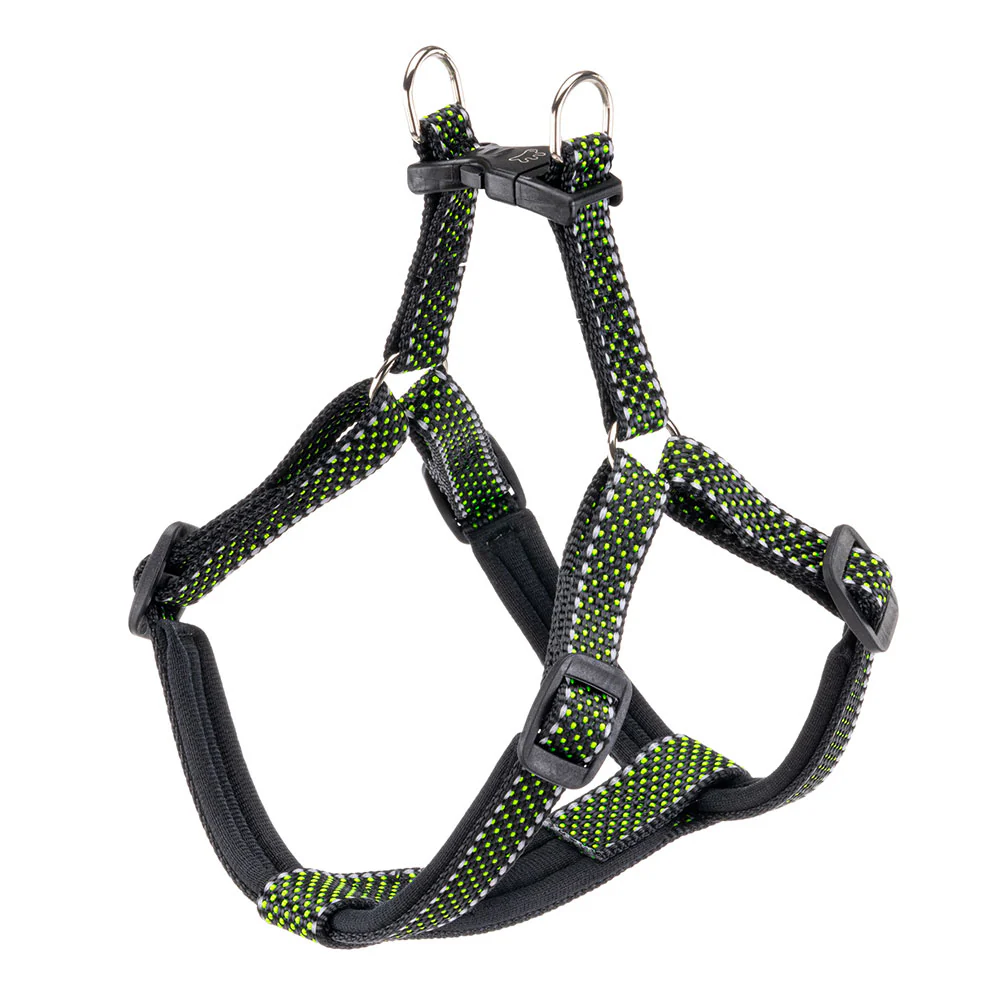 DAYTONA DELUXE P - Image 10