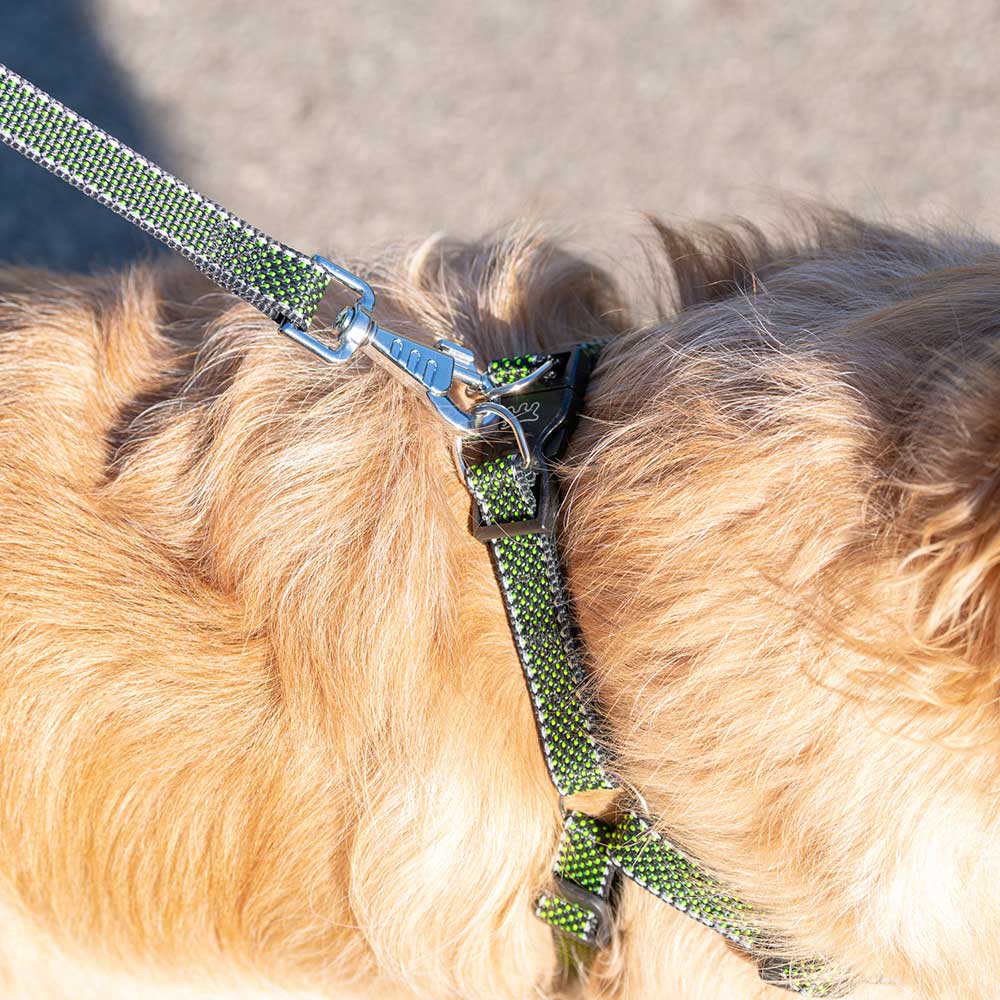 DAYTONA DELUXE P - Image 16