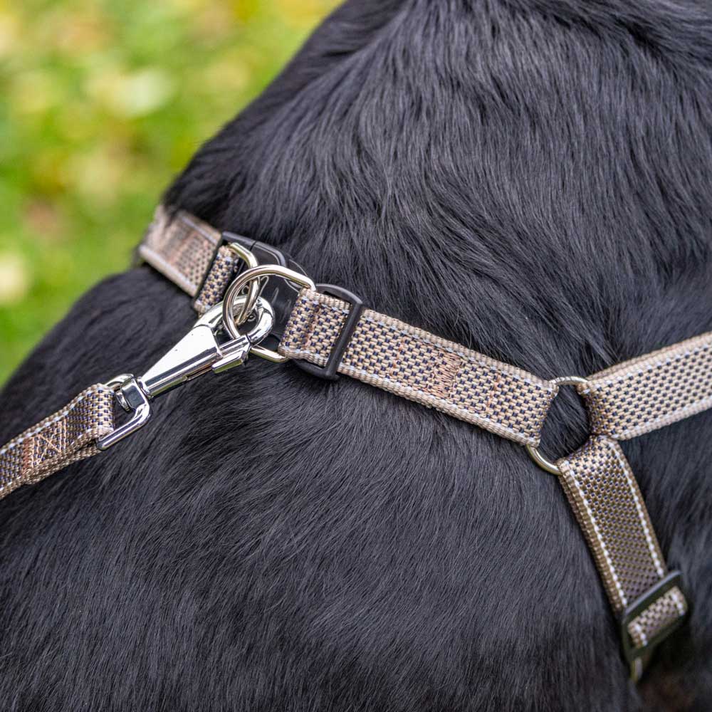 DAYTONA DELUXE P - Image 21