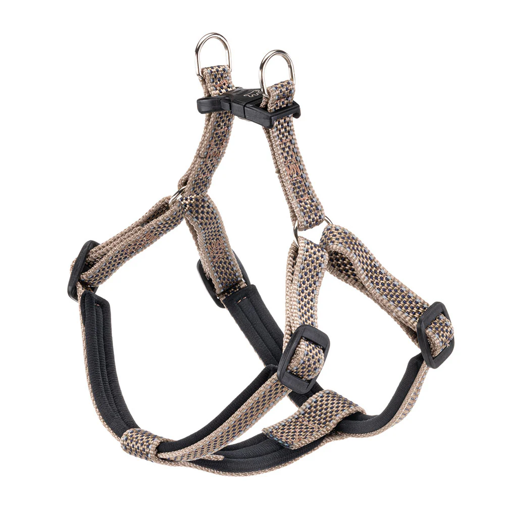 DAYTONA DELUXE P - Image 8