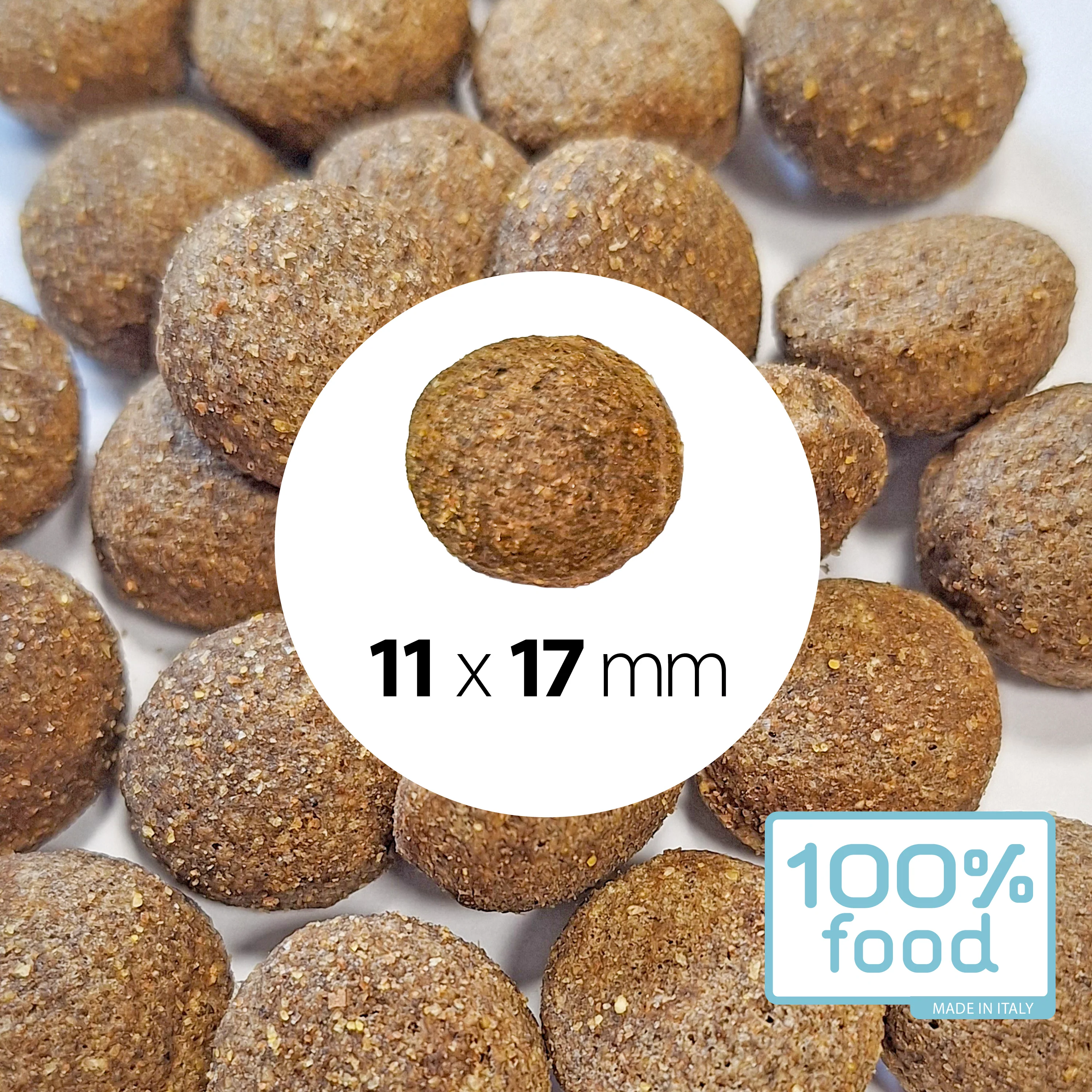 Crocchette per cani adulti Large & Giant – Merluzzo, Gamberetti e Patate – 10 kg - Image 5