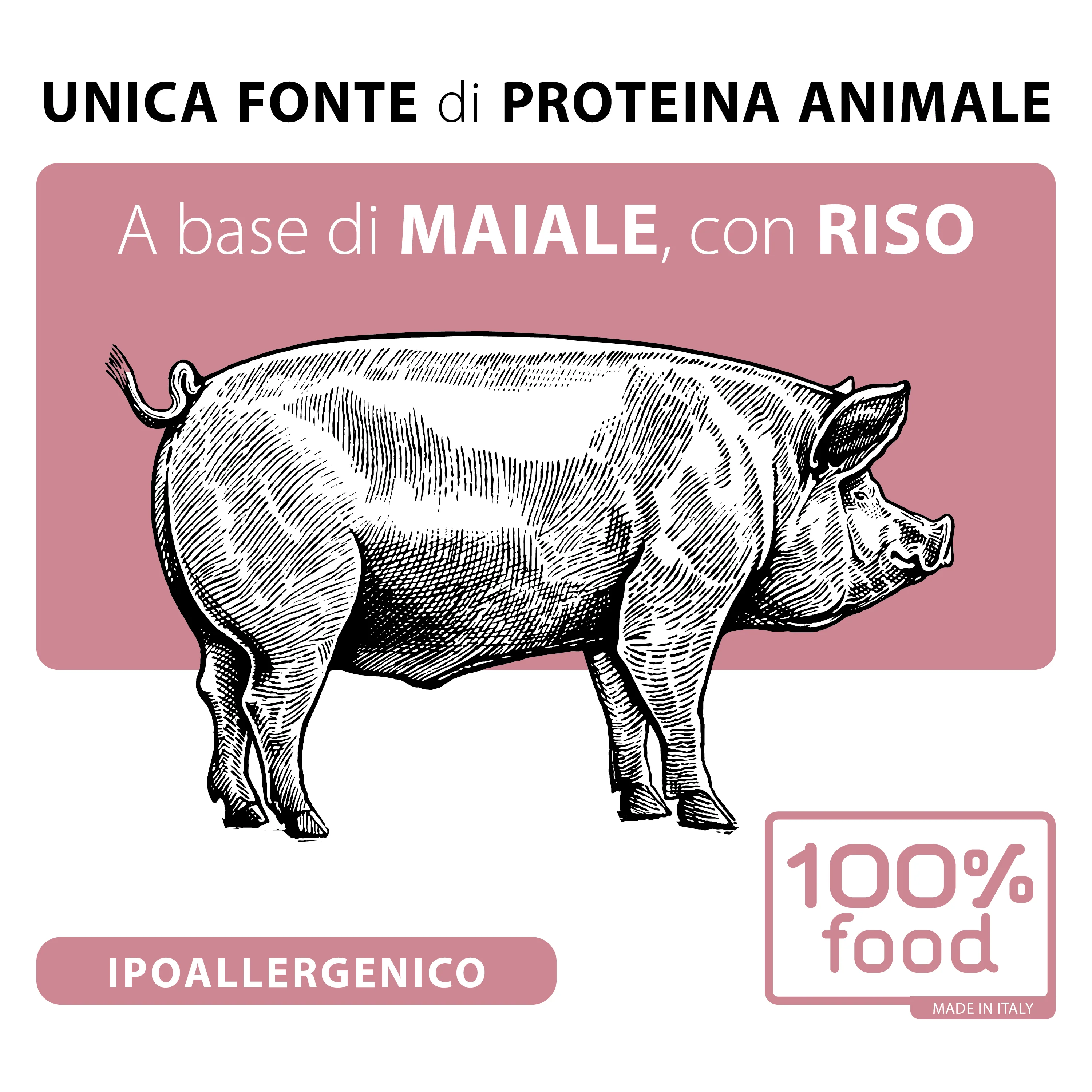 Crocchette per cani adulti Medium & Large – Maiale con Riso – 10 kg - Image 3