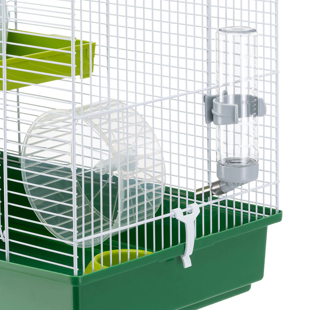 HAMSTER DUO - Image 4