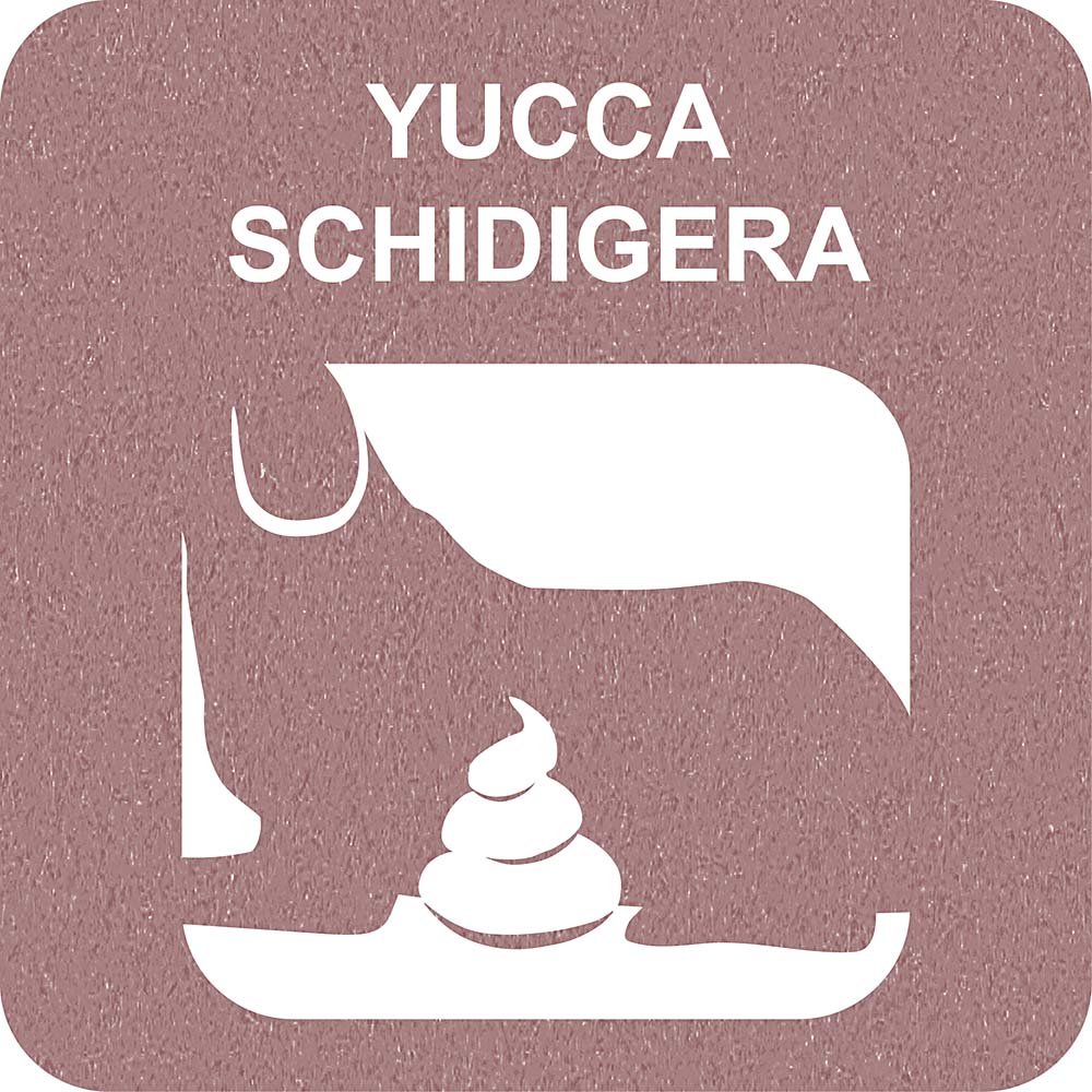 100% SNACK RIEMPIBILE - BONE YUCCA - Image 3