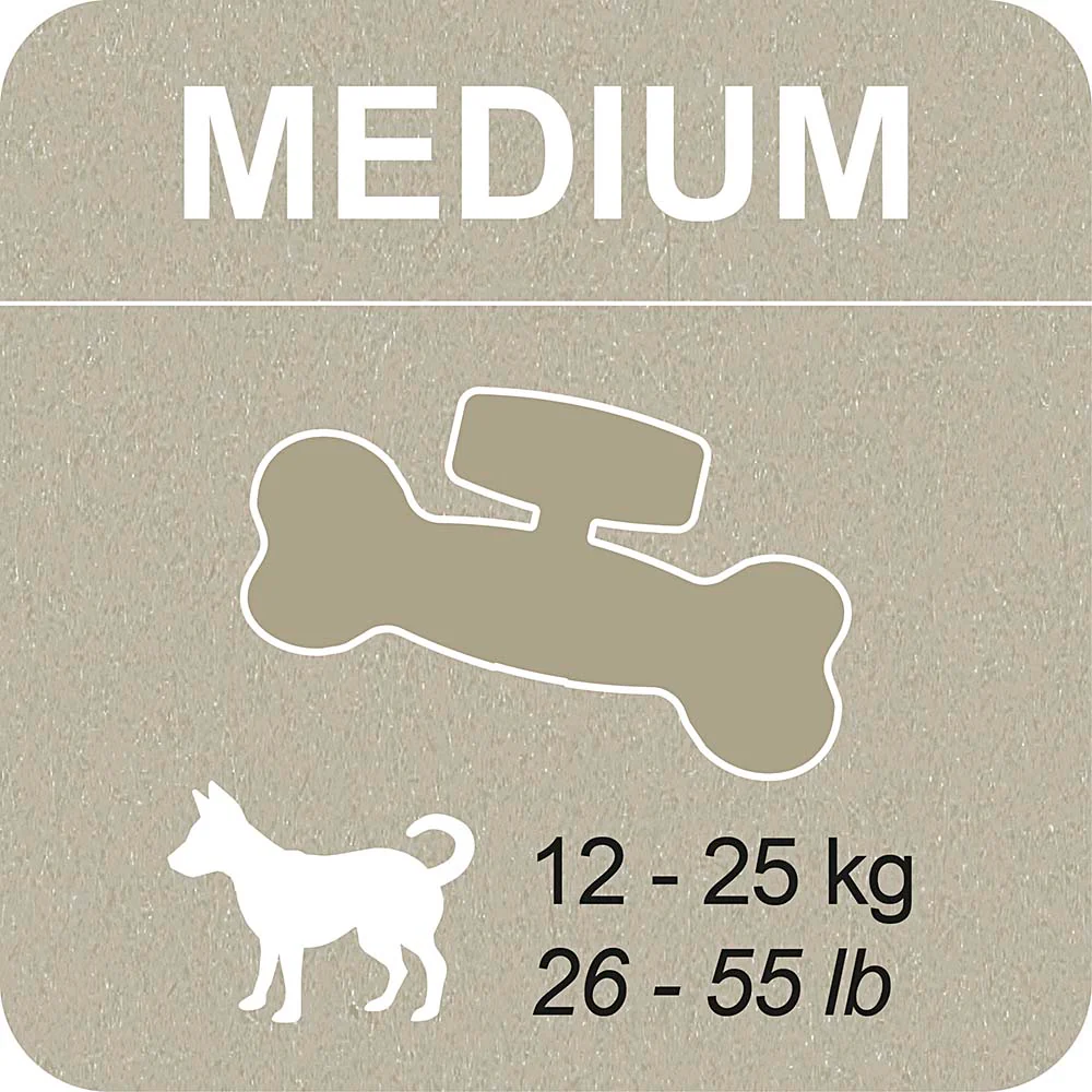 100% SNACK RIEMPIBILE - BONE YUCCA - Image 6