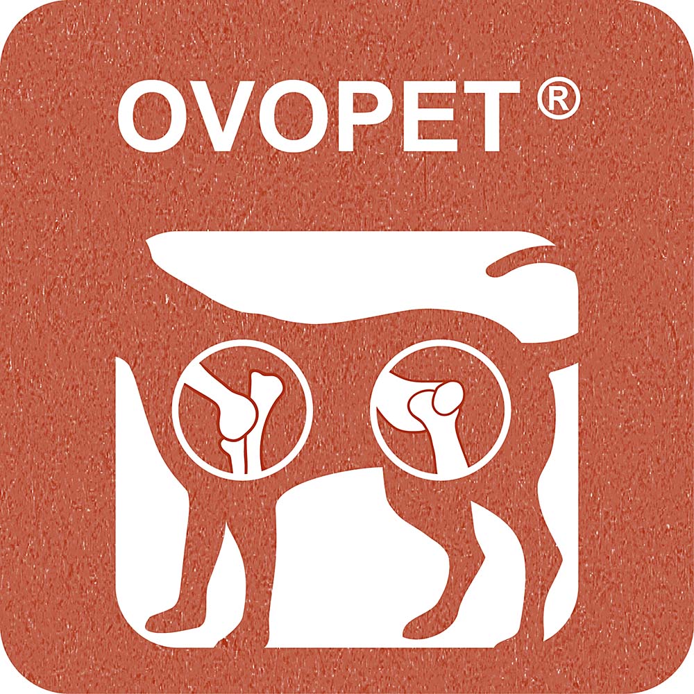 100% SNACK BASTONCINI - FUSILLI OVOPET - Image 3