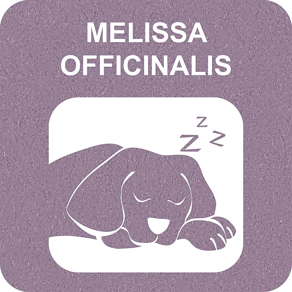 100% SNACK BASTONCINI - SNOWFLAKE MELISSA - Image 3