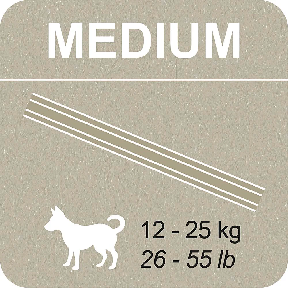 100% SNACK BASTONCINI - SNOWFLAKE MELISSA - Image 9