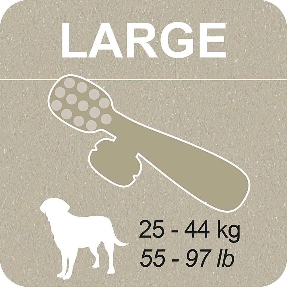 100% SNACK RIEMPIBILE -  TOOTHBRUSH ASCOPHILLUM - Image 11