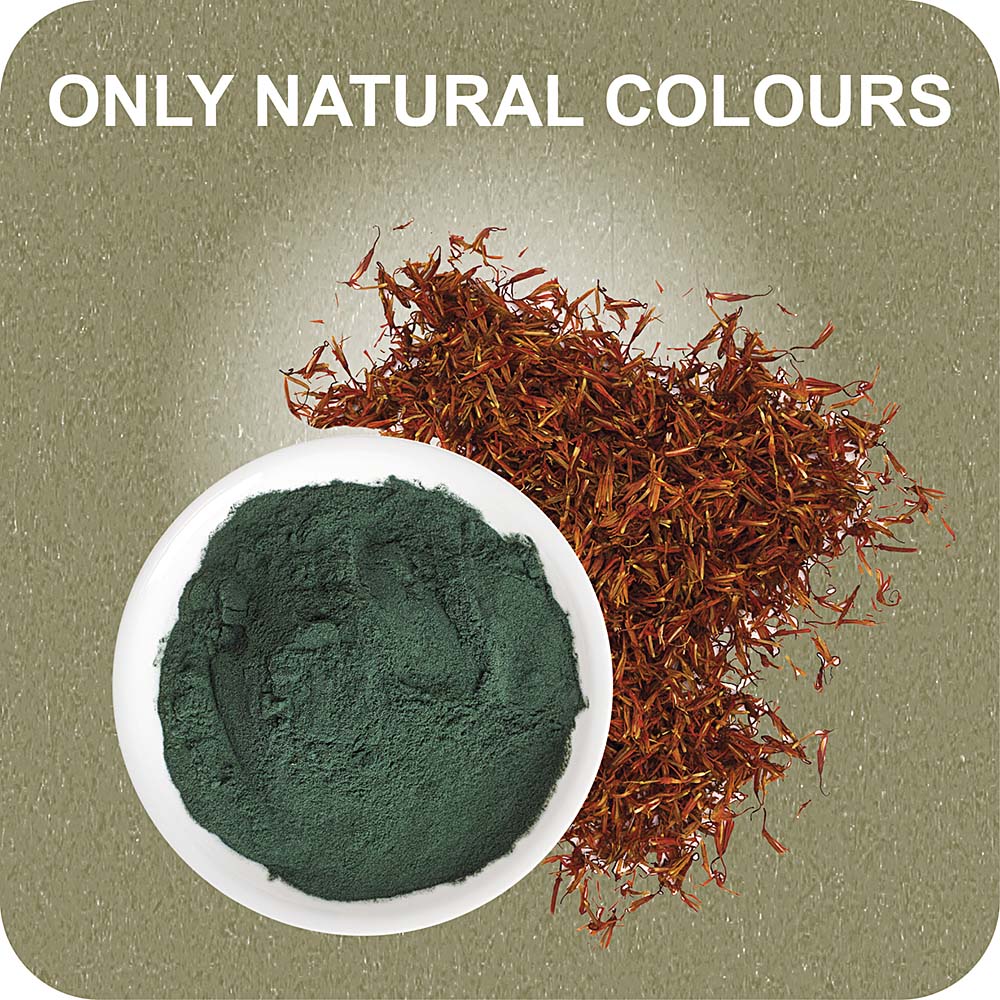 100% SNACK RIEMPIBILE -  TOOTHBRUSH ASCOPHILLUM - Image 4