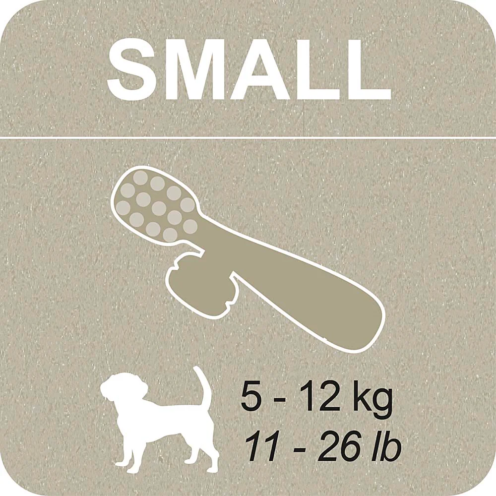 100% SNACK RIEMPIBILE -  TOOTHBRUSH ASCOPHILLUM - Image 6