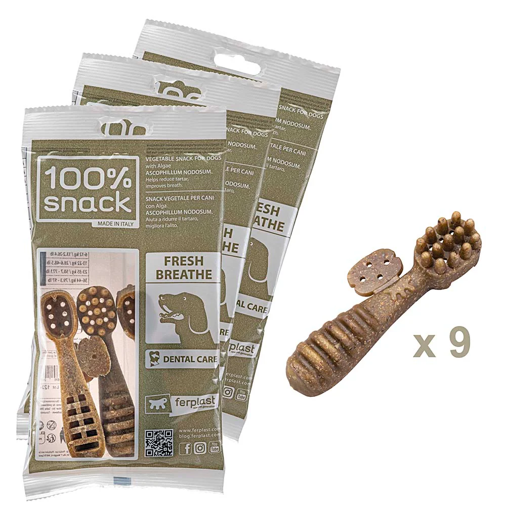 100% SNACK RIEMPIBILE -  TOOTHBRUSH ASCOPHILLUM - Image 8