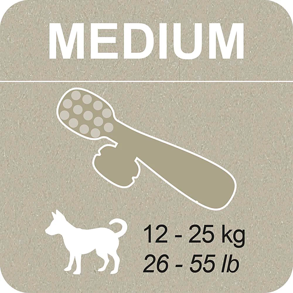 100% SNACK RIEMPIBILE -  TOOTHBRUSH ASCOPHILLUM - Image 9