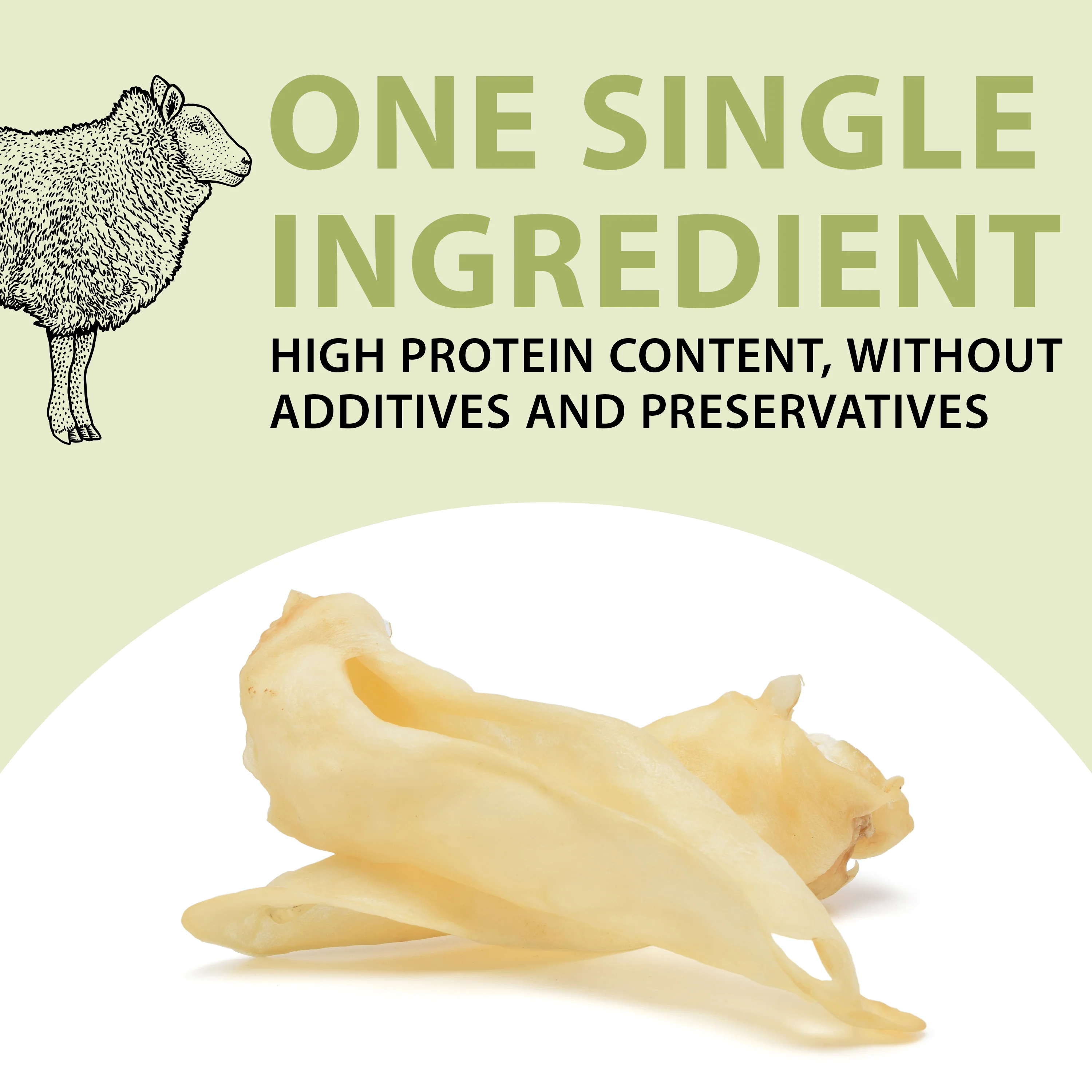 ORECCHIE DI AGNELLO - Image 3