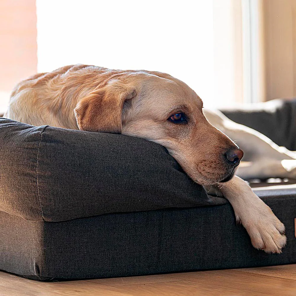 MEMOR-ONE - Image 13