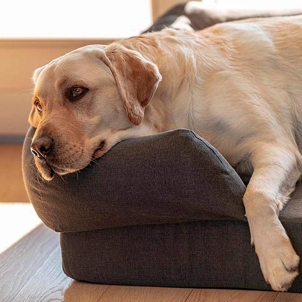 MEMOR-ONE - Image 14