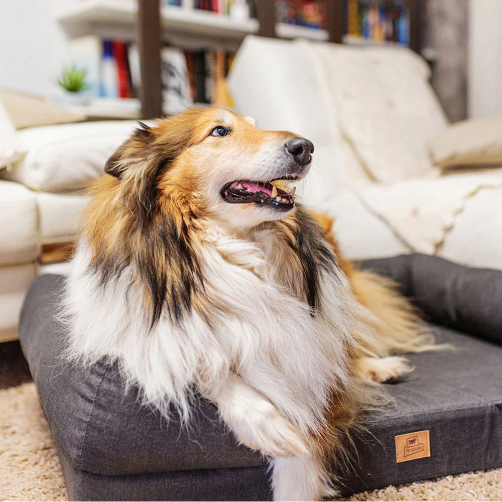 MEMOR-ONE - Image 19