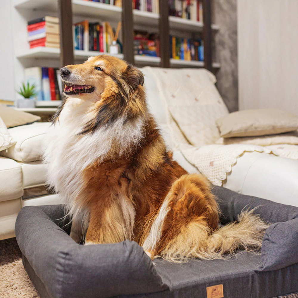 MEMOR-ONE - Image 20