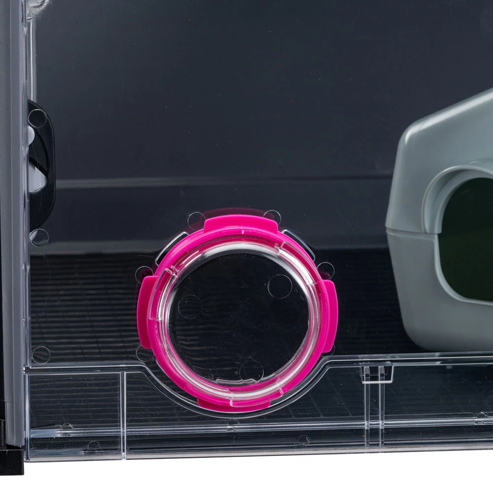 MULTIPLA HAMSTER - Image 11