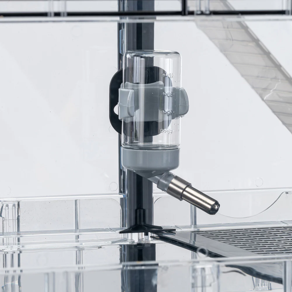 MULTIPLA HAMSTER CRYSTAL - Image 9