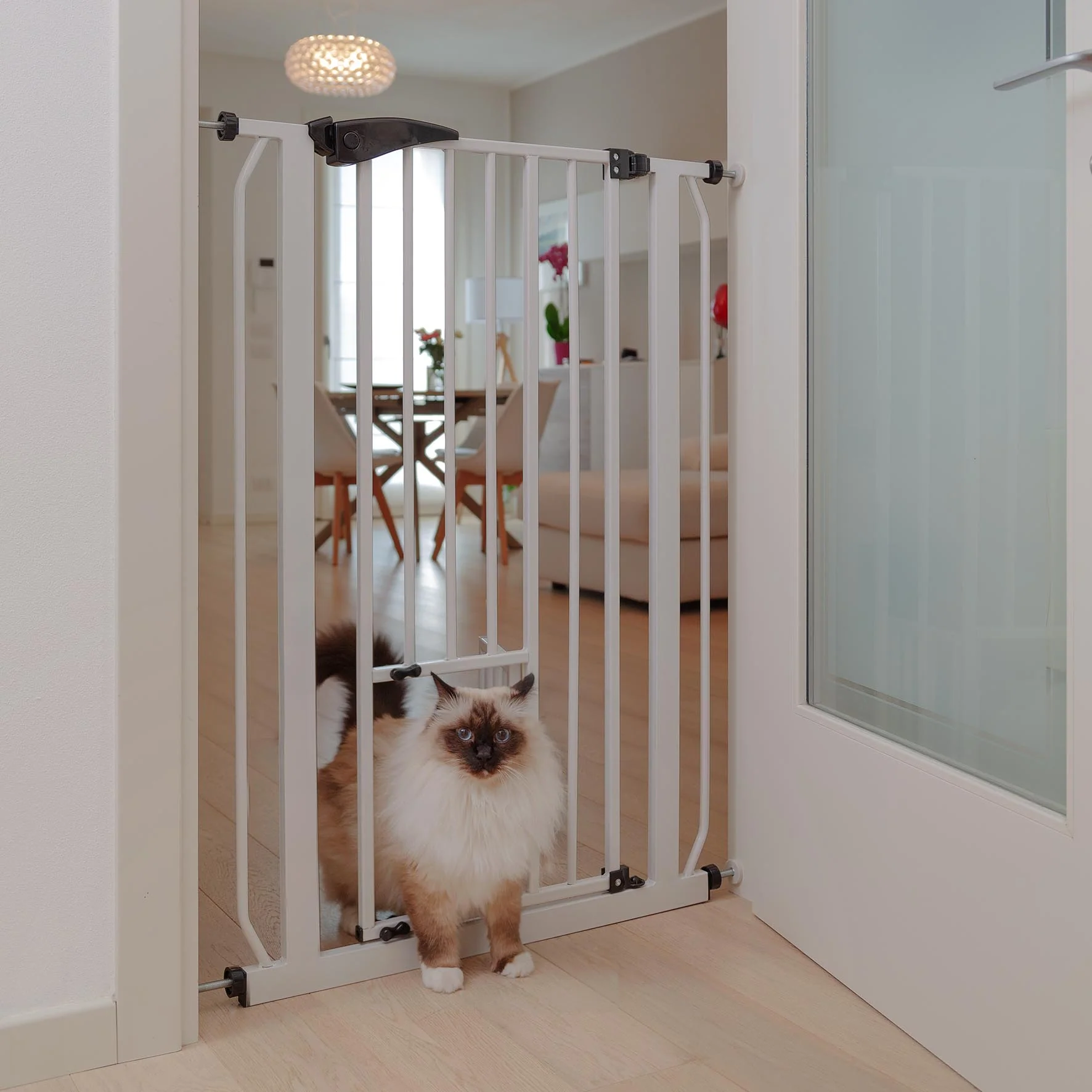 PET GATE - Image 5