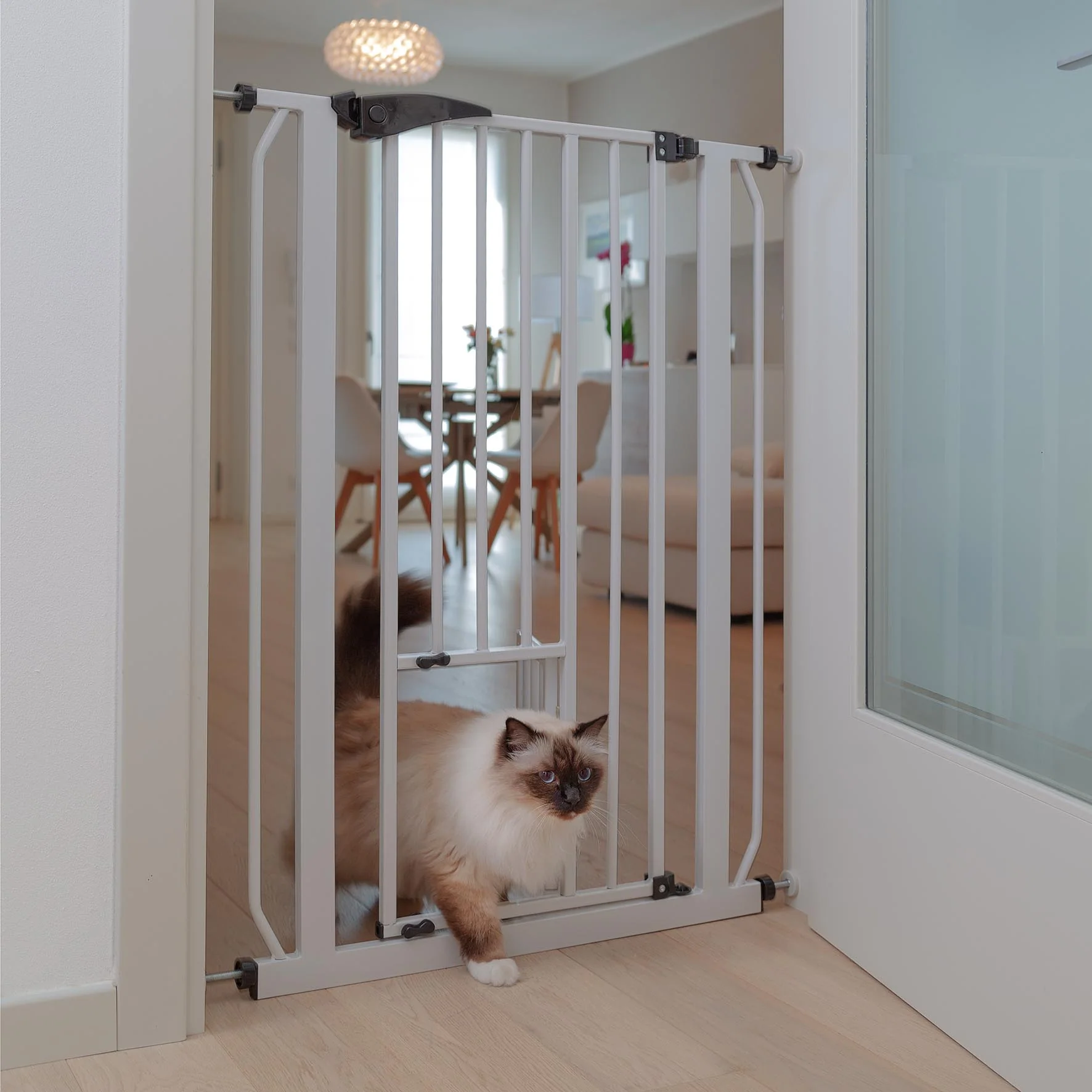 PET GATE - Image 6