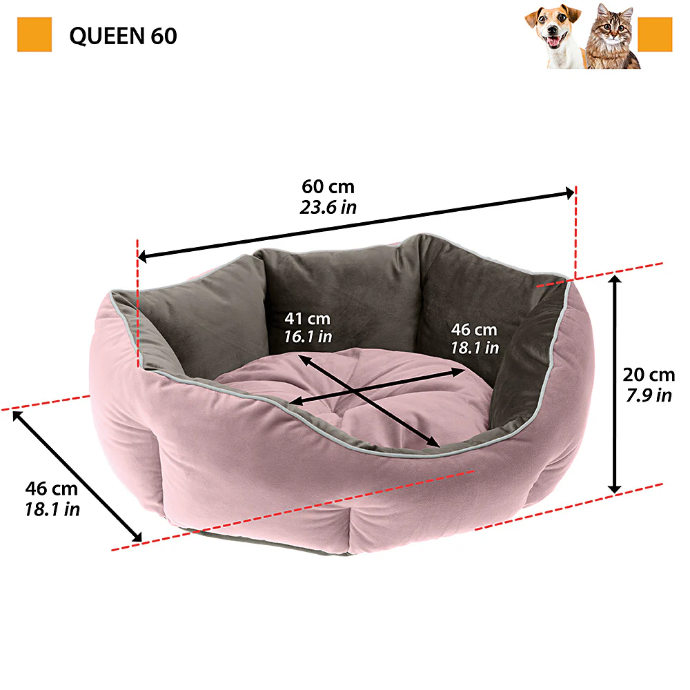 QUEEN - Image 7