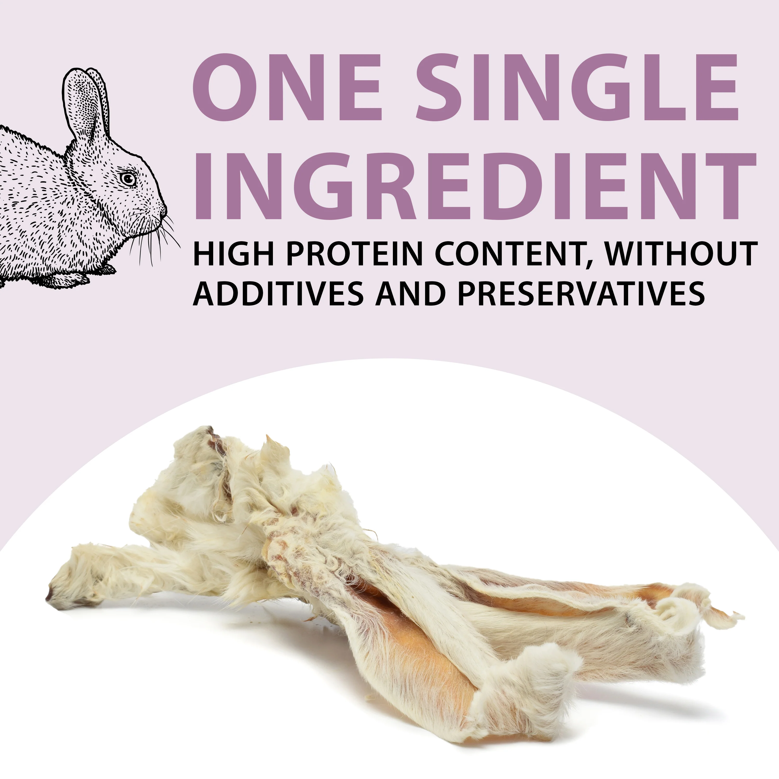 ORECCHIE DI CONIGLIO - Image 3