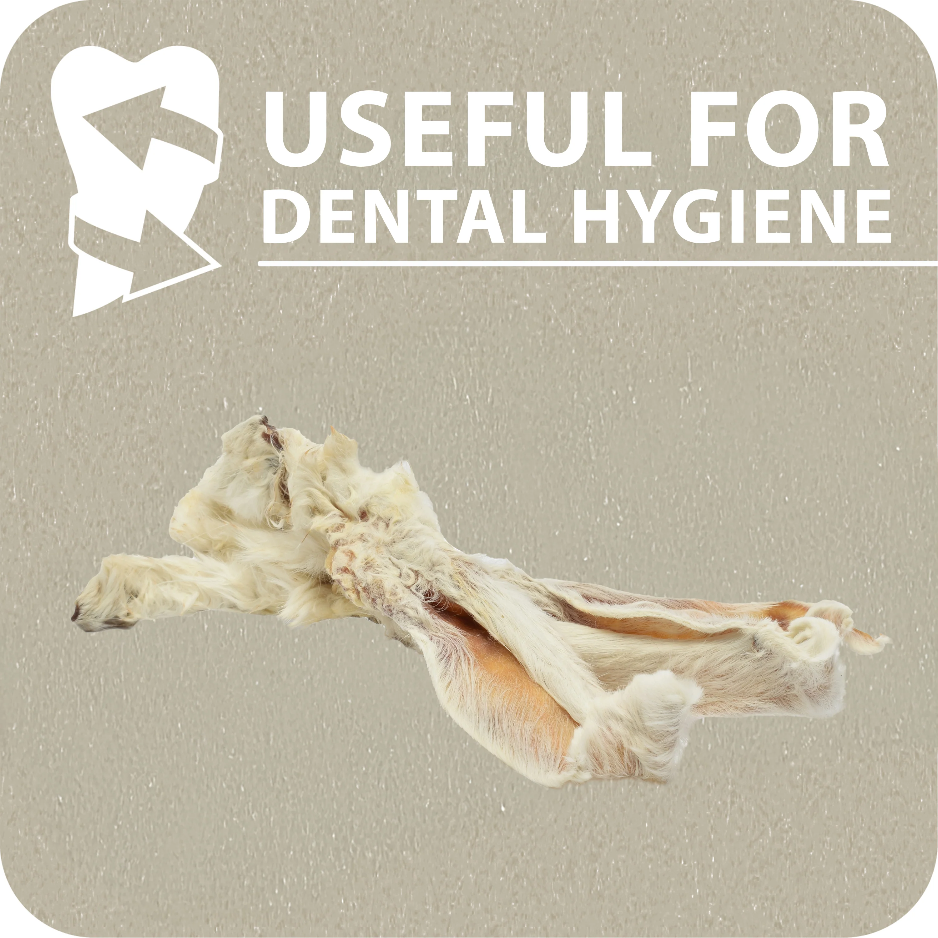 ORECCHIE DI CONIGLIO - Image 5