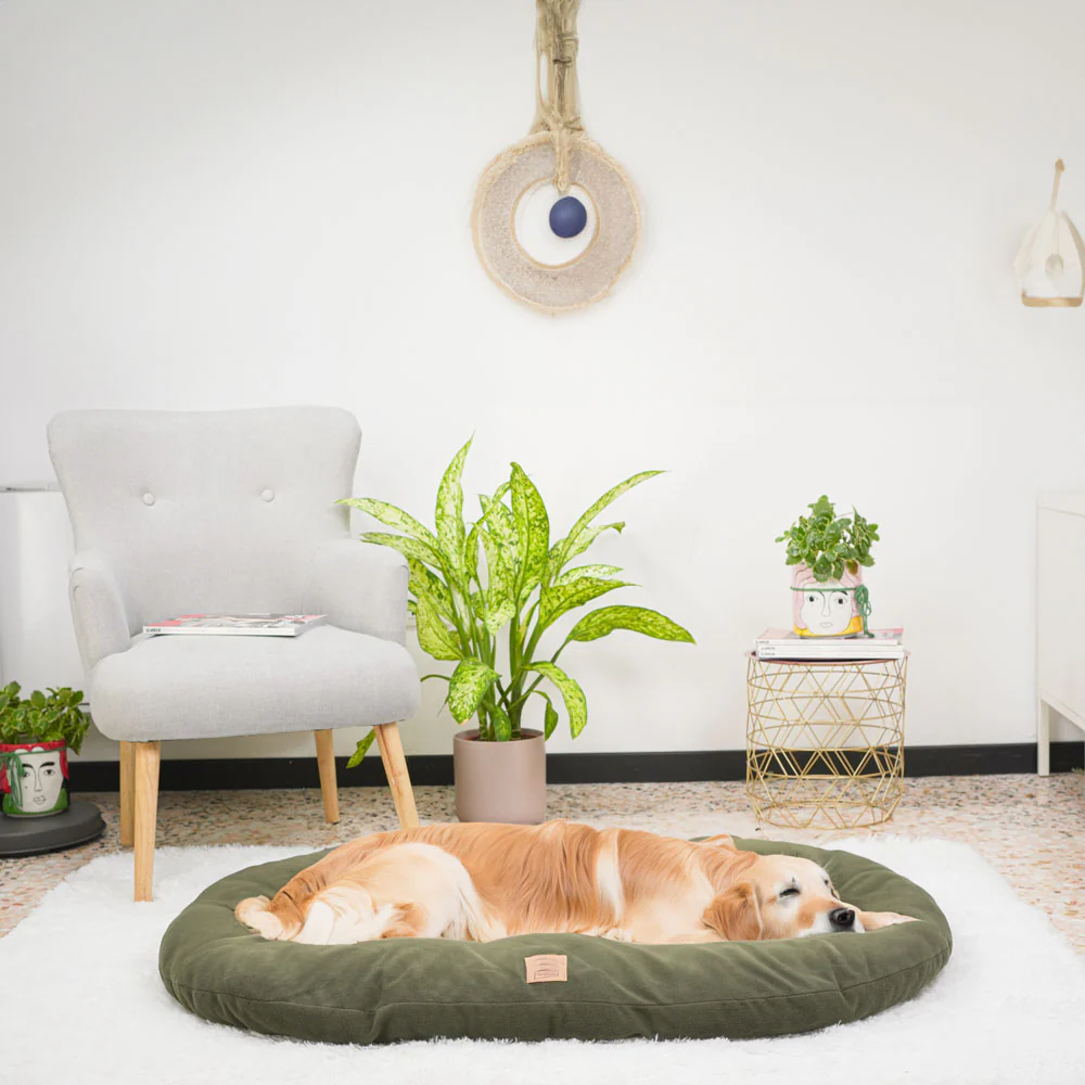 RELAX MICROFLEECE - Image 46