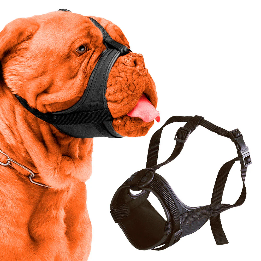 SAFE BOXER - Image 3