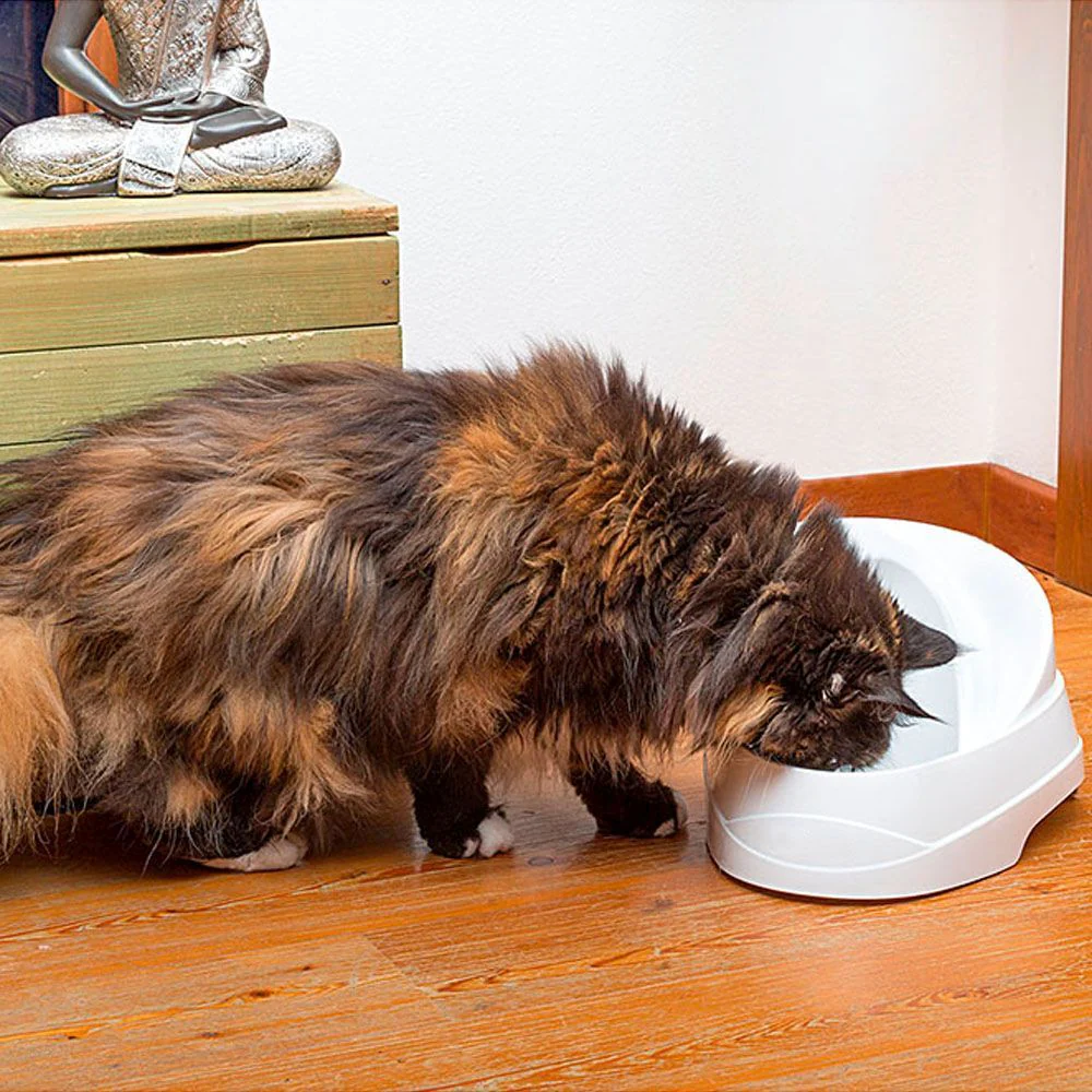 VEGA SANITIZED - Image 7